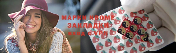 spice Богородицк